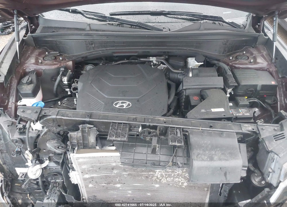 2024 HYUNDAI PALISADE VIN: KM8R2DGE1RU729541