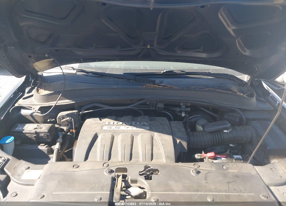2006 HONDA PILOT EX-L VIN: 5FNYF18556B004823