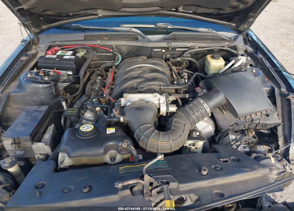 2006 FORD MUSTANG VIN: 1ZVFT85H365115375