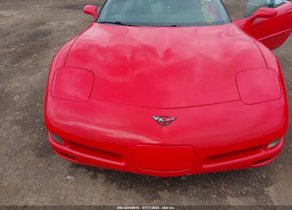 2002 CHEVROLET CORVETTE VIN: 1G1YY22G425134123