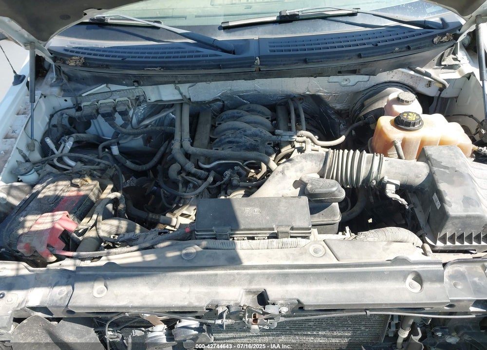 2013 FORD F-150 VIN: 1FTNF1CF4DKE25094