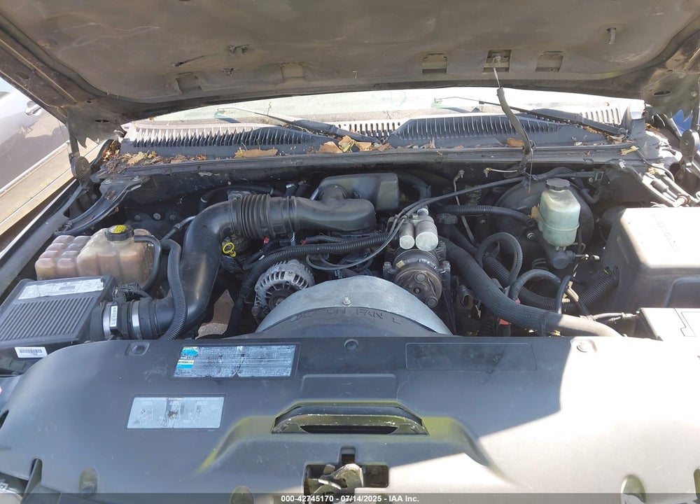 2002 CHEVROLET SILVERADO 1500 LS VIN: 1GCEC19X02Z198967