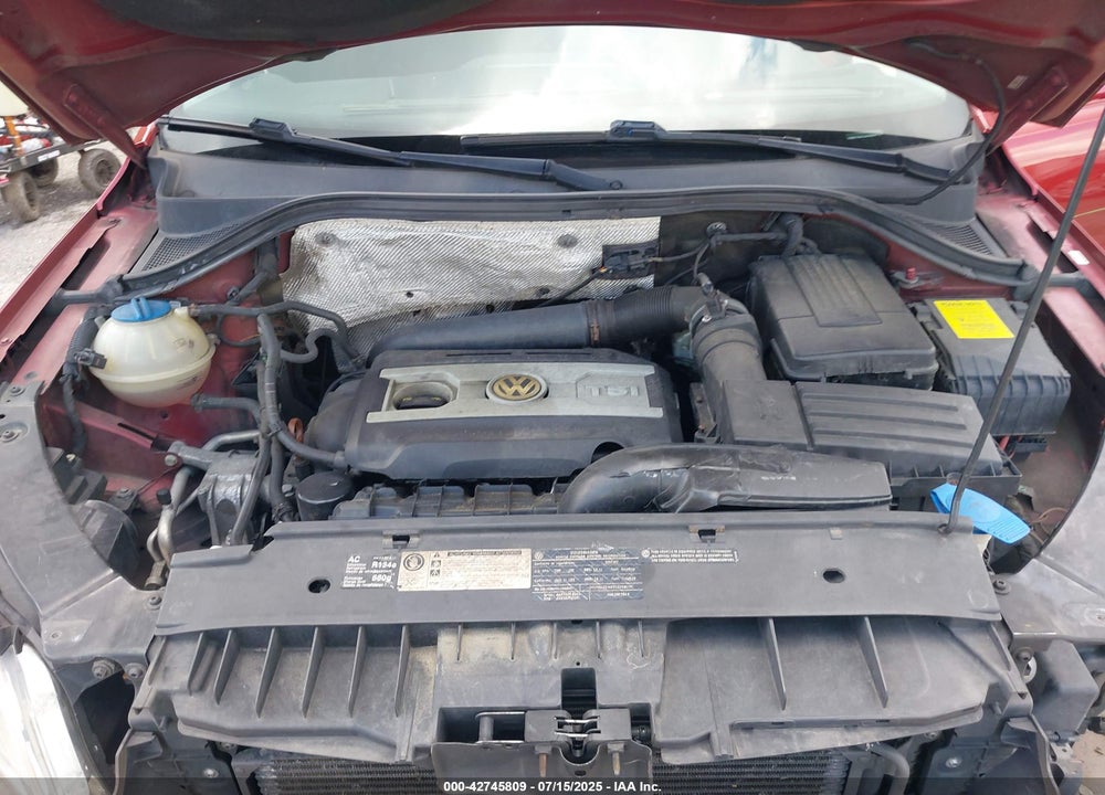 2010 VOLKSWAGEN TIGUAN VIN: WVGBV7AX7AW000814