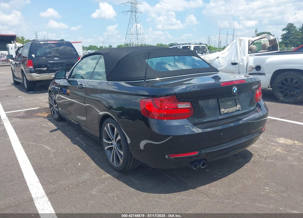 2015 BMW 2 SERIES VIN: WBA1K5C50FV473960