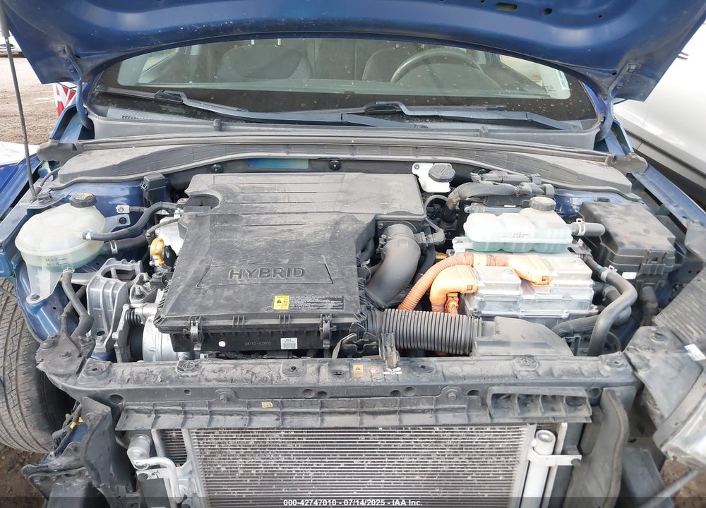 2019 HYUNDAI IONIQ HYBRID VIN: KMHC65LCXKU175619
