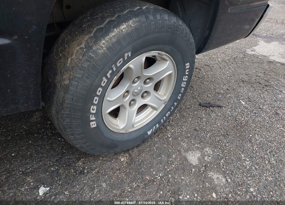 2005 DODGE DAKOTA SLT VIN: 1D7HW48N25S236160