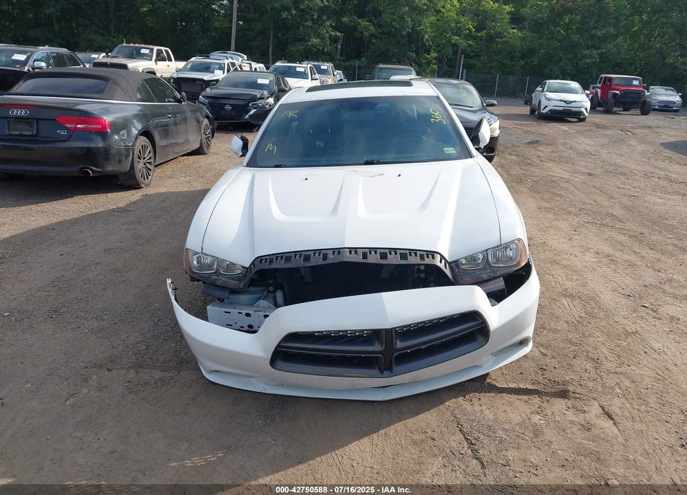 2014 DODGE CHARGER VIN: 2C3CDXHG9EH230395