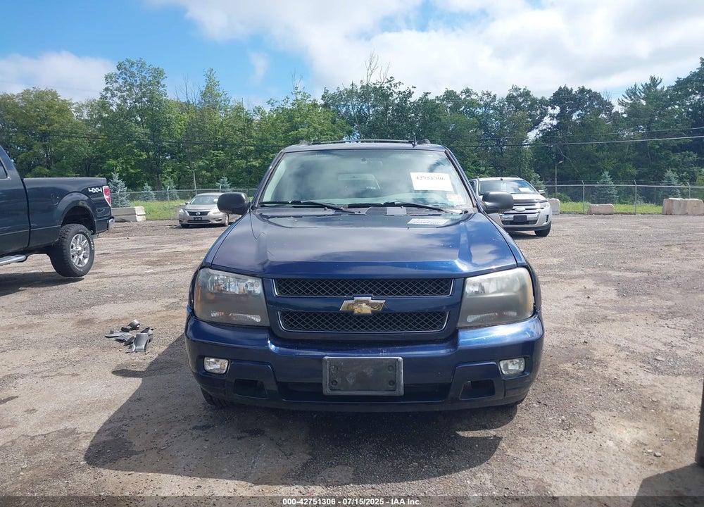 2007 CHEVROLET TRAILBLAZER VIN: 1GNDT13S072206310