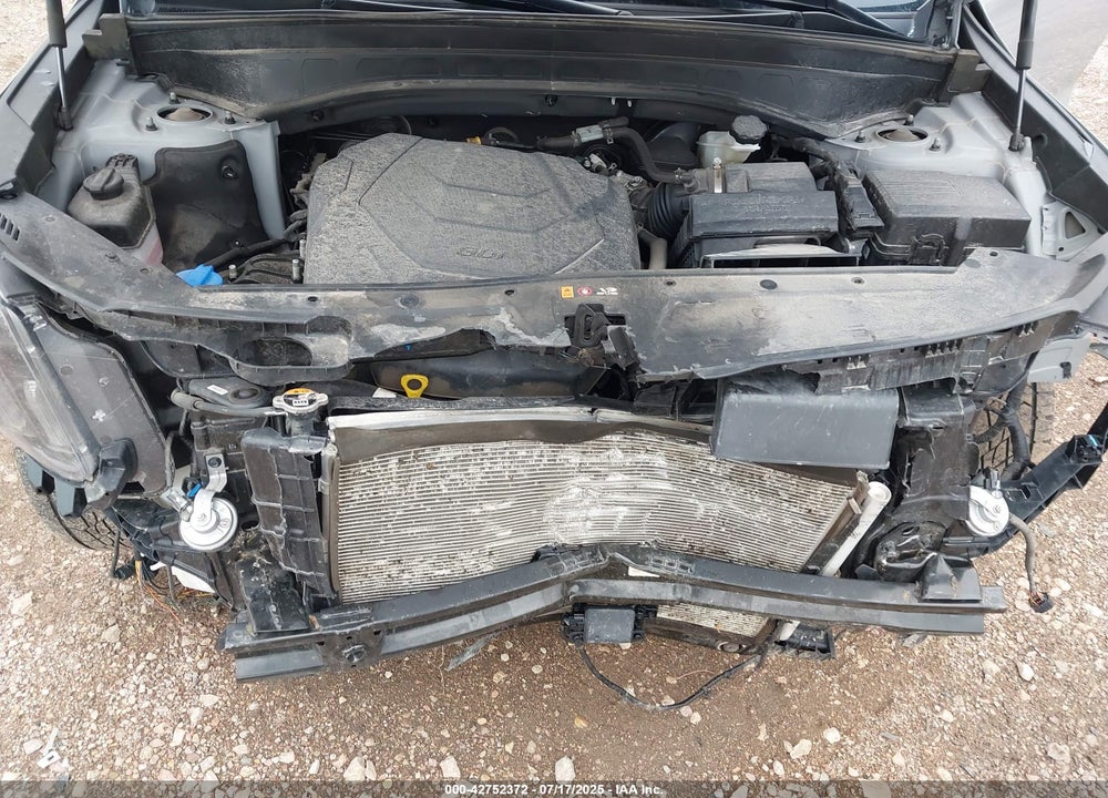 2023 KIA TELLURIDE VIN: 5XYP5DGC3PG398106