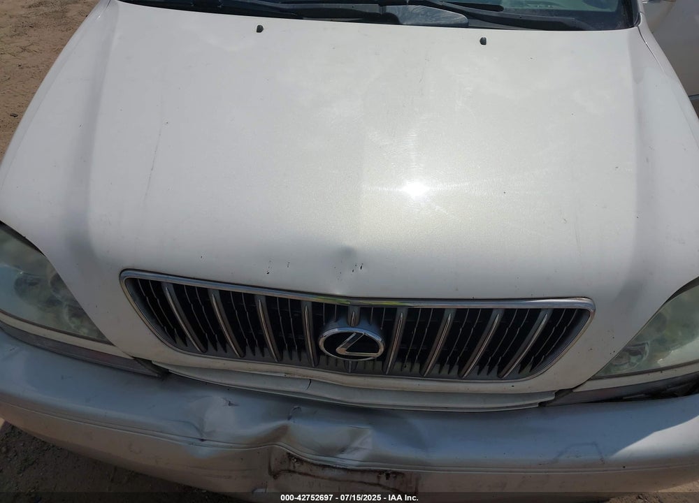2001 LEXUS RX 300 VIN: JTJHF10U310183533