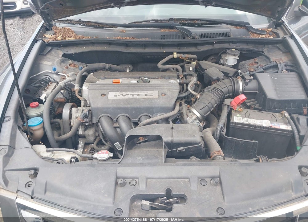 2009 HONDA ACCORD VIN: 1HGCP264X9A124851