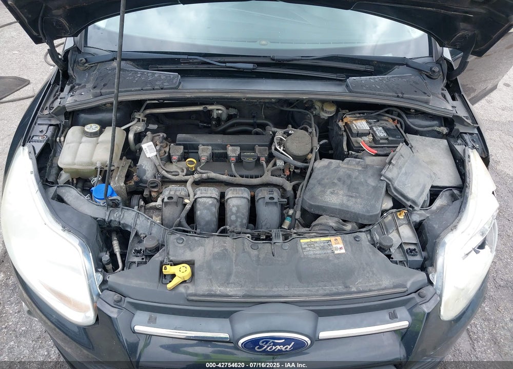2013 FORD FOCUS VIN: 1FADP3K23DL217954