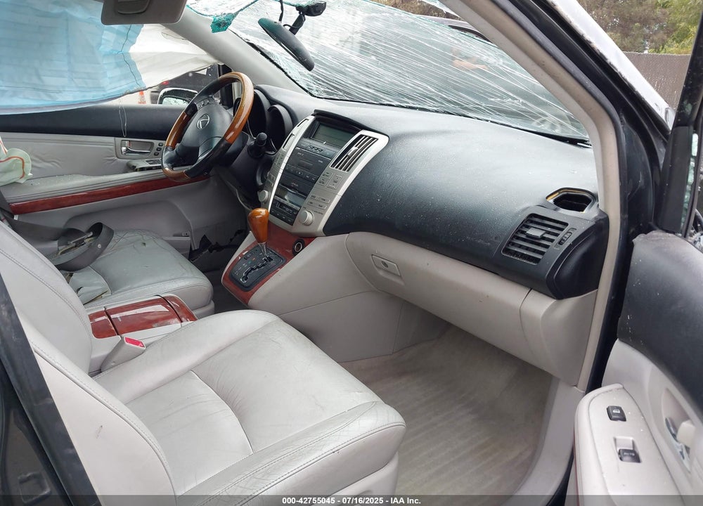 2004 LEXUS RX 330 VIN: JTJGA31U140043036