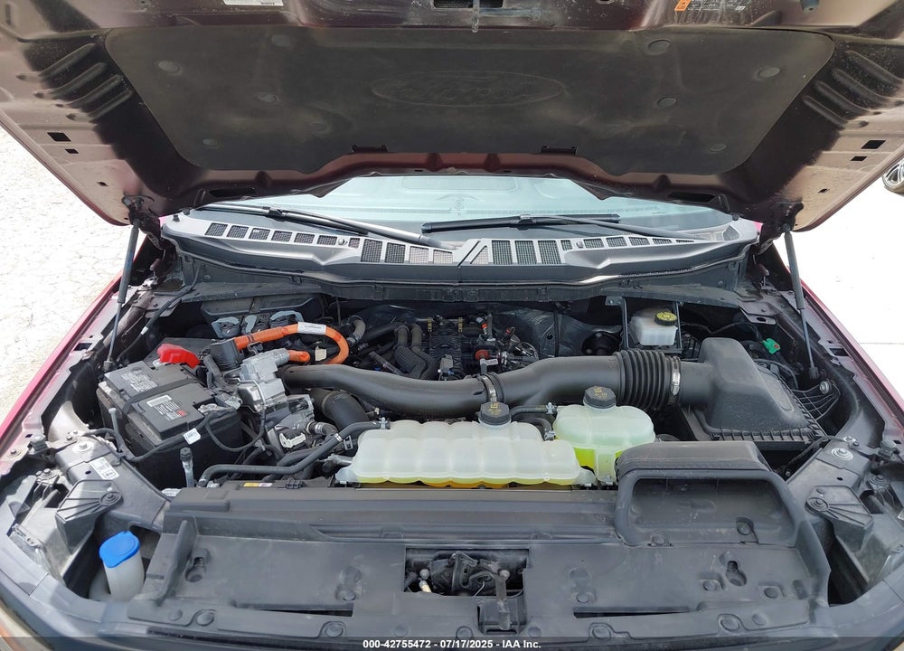 2024 FORD F-150 XLT VIN: 1FTFW3LD2RFA37280