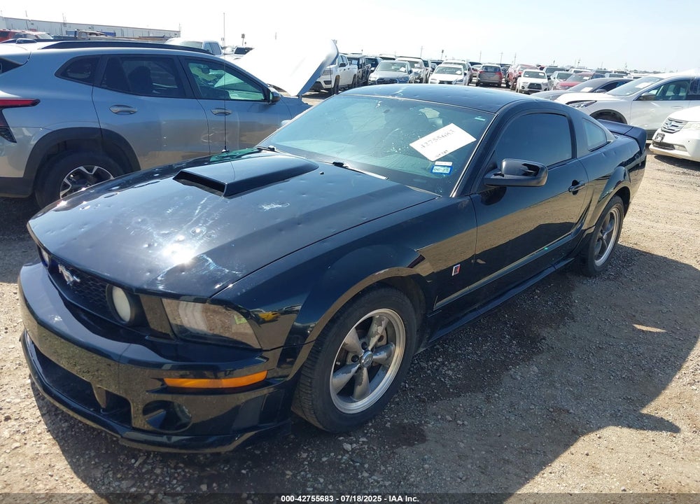 2006 FORD MUSTANG VIN: 1ZVFT82H565153145