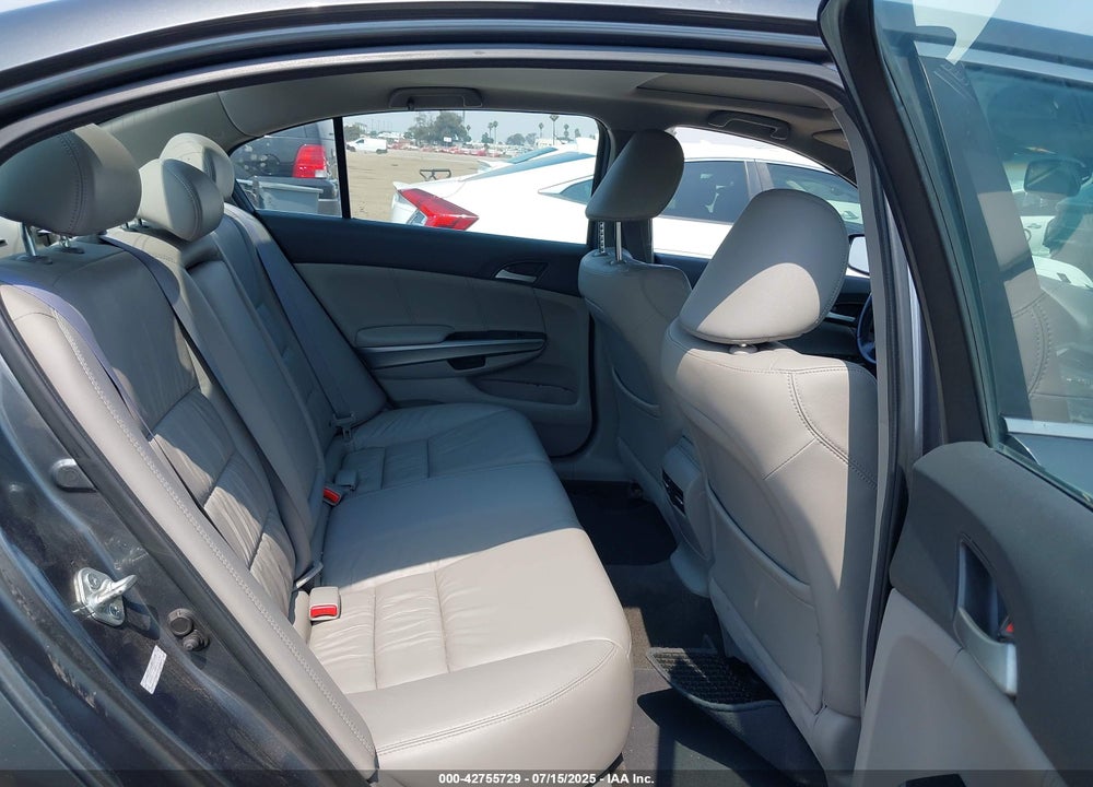 2010 HONDA ACCORD VIN: 1HGCP3F80AA023668