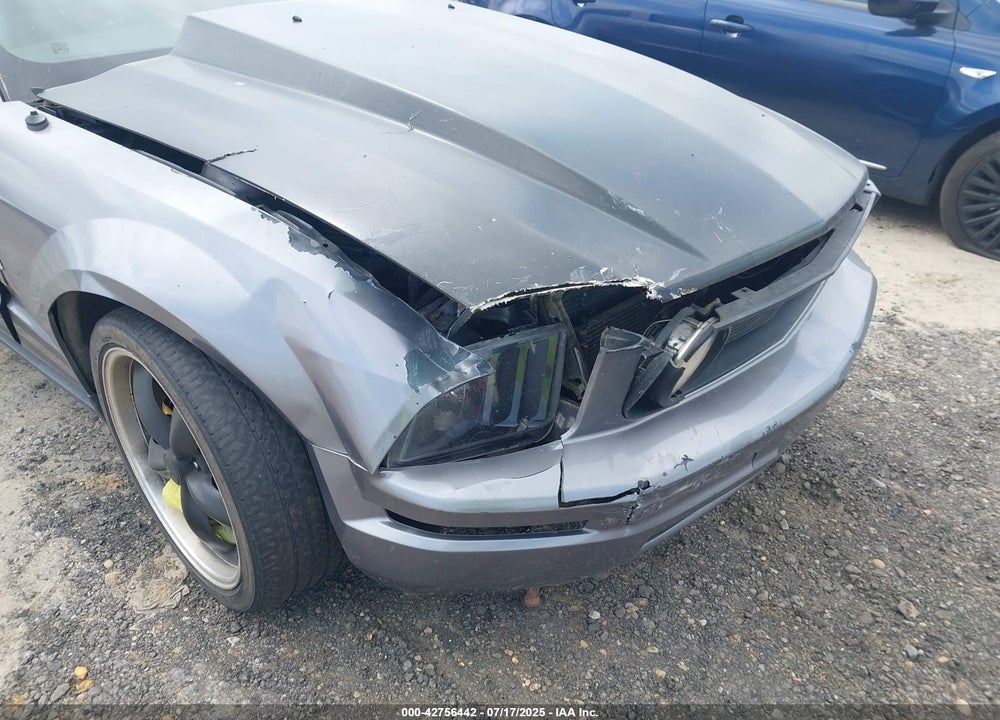 2006 FORD MUSTANG VIN: 1ZVFT80N565231531