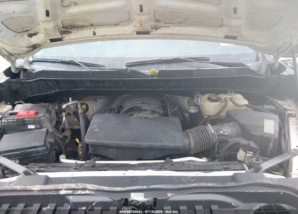 2019 CHEVROLET SILVERADO 1500 VIN: 3GCPYCEF7KG305449