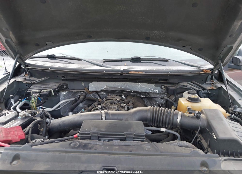 2013 FORD F-150 XLT VIN: 1FTFW1ET0DFC39343