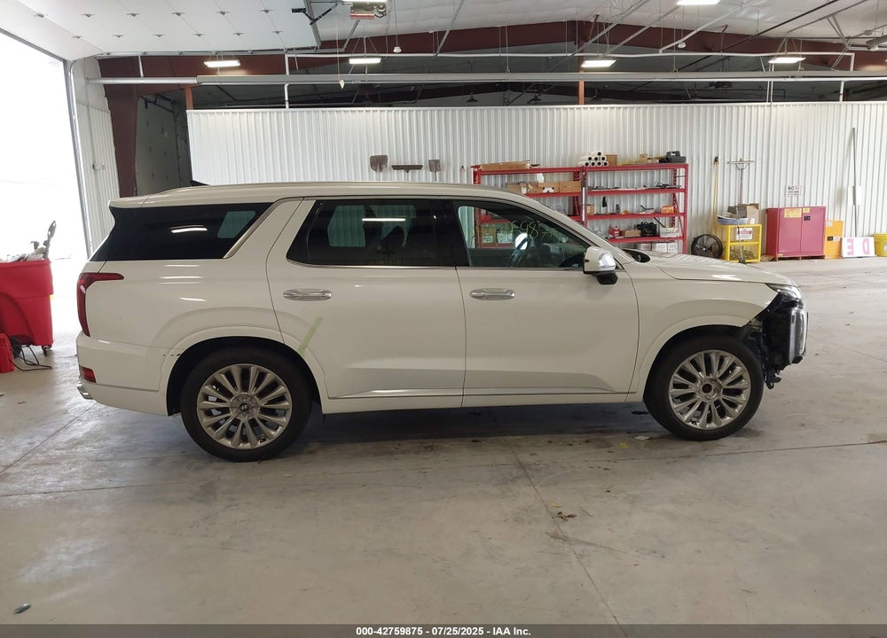 2020 HYUNDAI PALISADE VIN: KM8R5DHE5LU117954