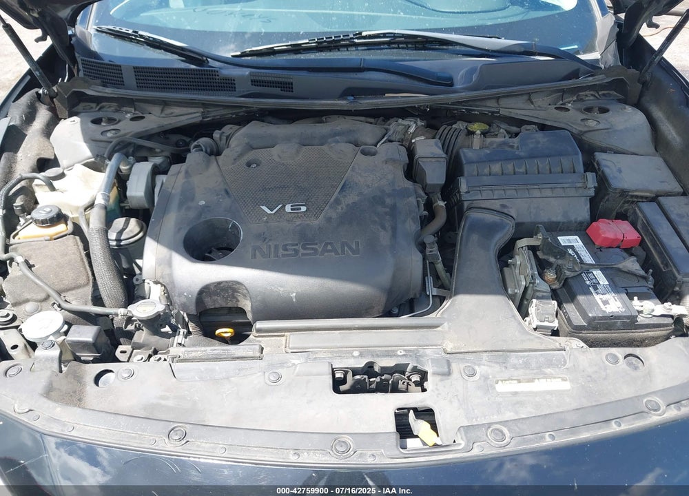 2019 NISSAN MAXIMA VIN: 1N4AA6AV1KC380049