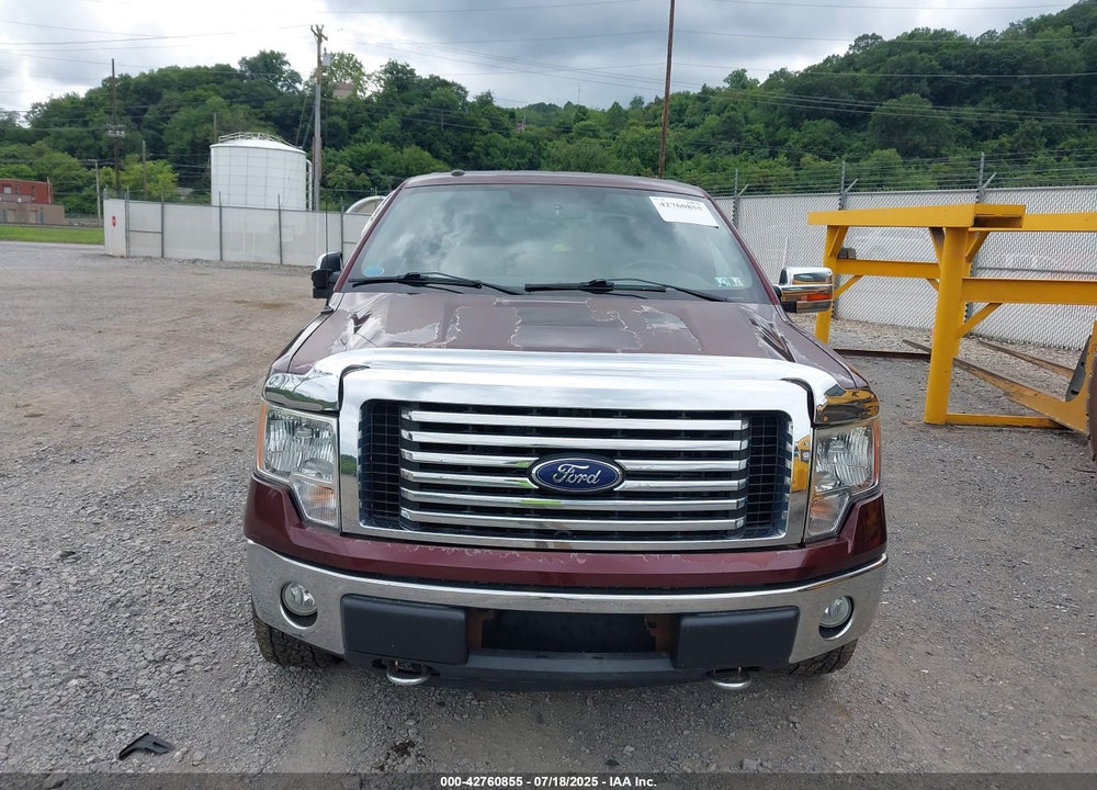 2010 FORD F-150 VIN: 1FTFW1EV1AFB62494