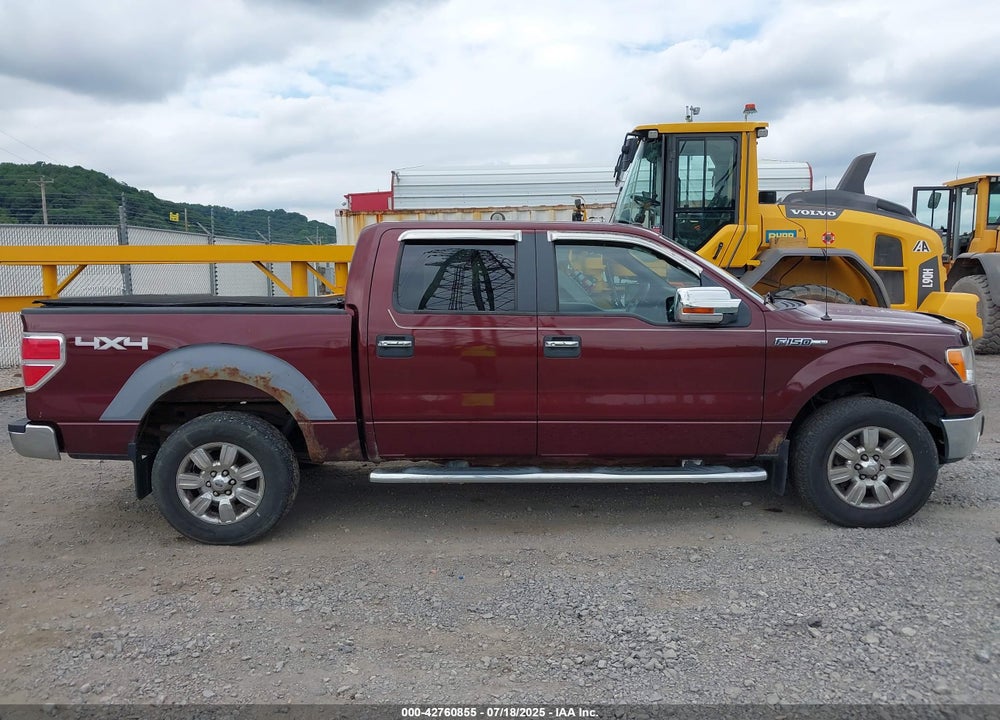 2010 FORD F-150 VIN: 1FTFW1EV1AFB62494
