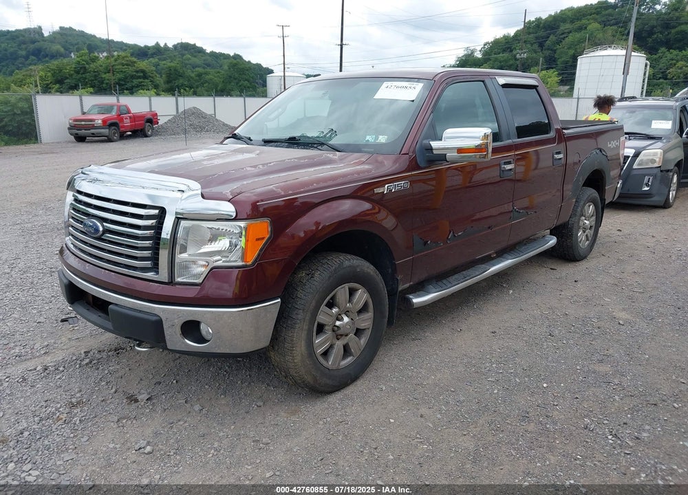 2010 FORD F-150 VIN: 1FTFW1EV1AFB62494