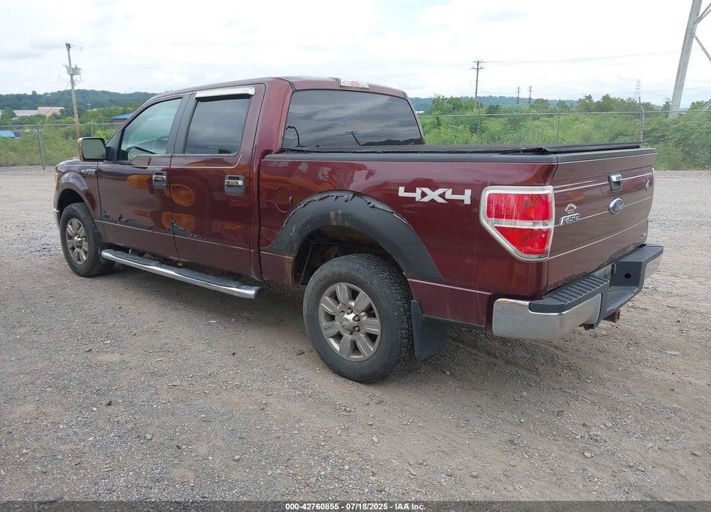 2010 FORD F-150 VIN: 1FTFW1EV1AFB62494