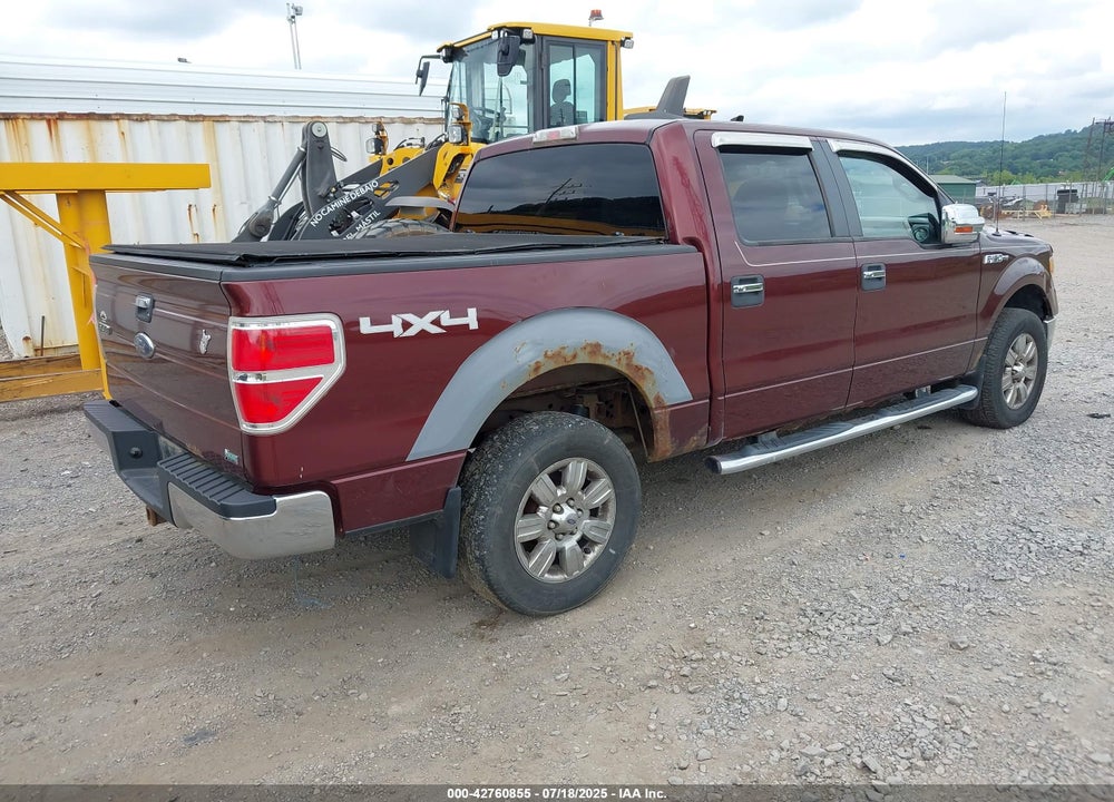 2010 FORD F-150 VIN: 1FTFW1EV1AFB62494
