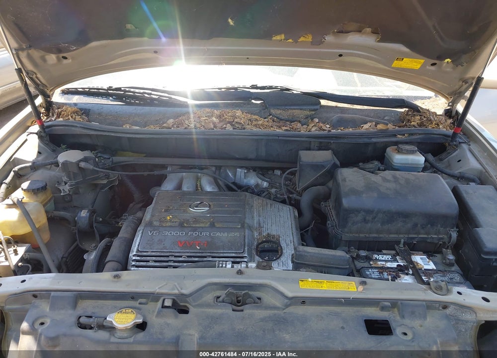 2001 LEXUS RX 300 VIN: JTJGF10U410086868