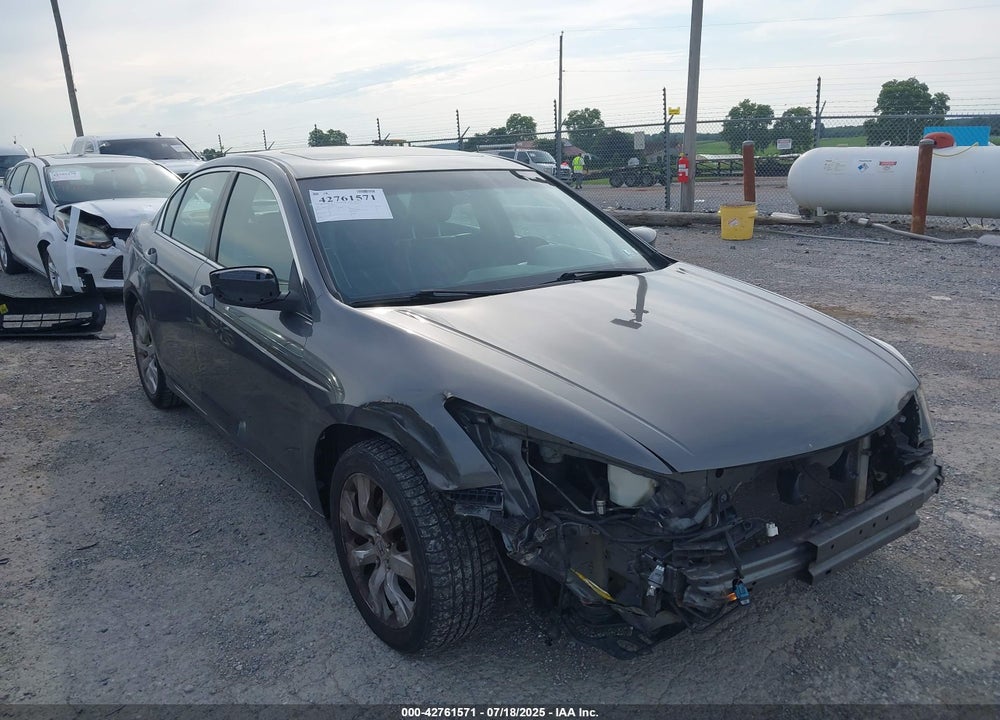 2010 HONDA ACCORD VIN: 1HGCP2F80AA036236