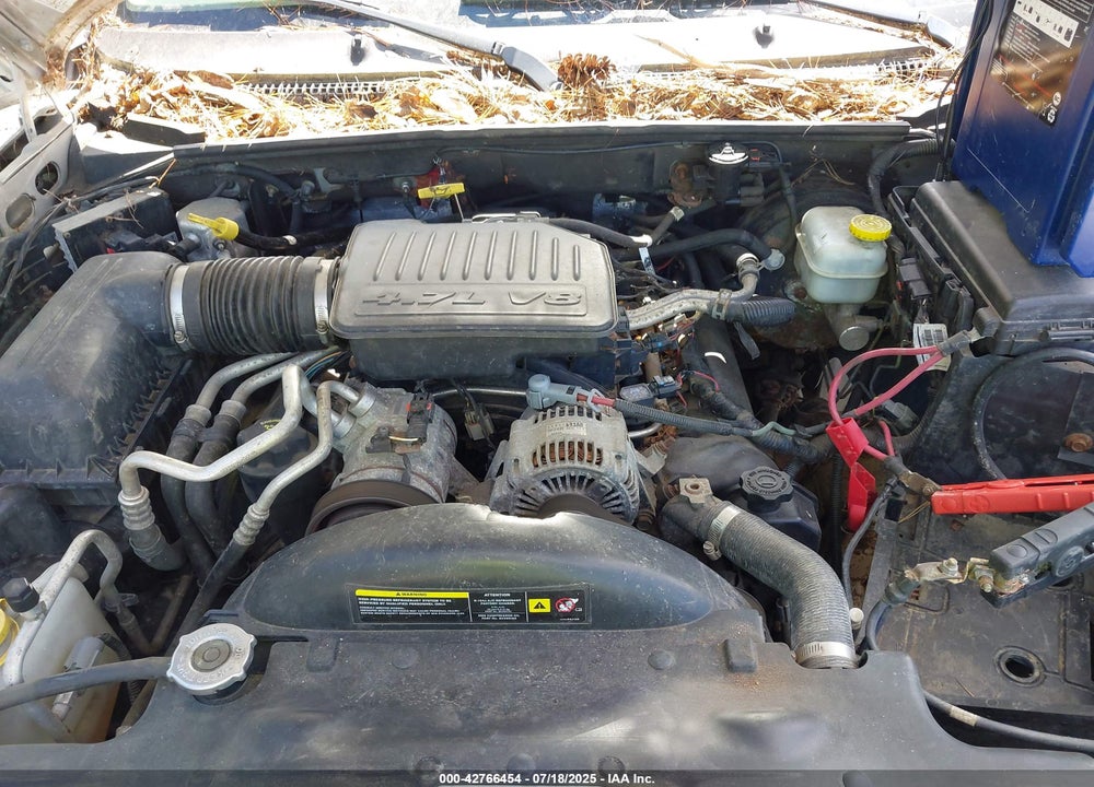 2006 DODGE DAKOTA VIN: 1D7HW48N96S641448