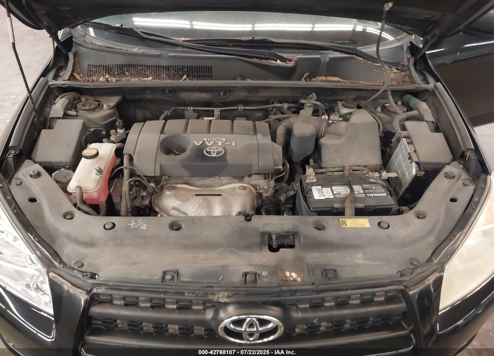 2009 TOYOTA RAV4 VIN: JTMBF33V99D015330