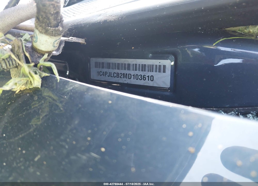 2021 JEEP CHEROKEE VIN: 1C4PJLCB2MD103610