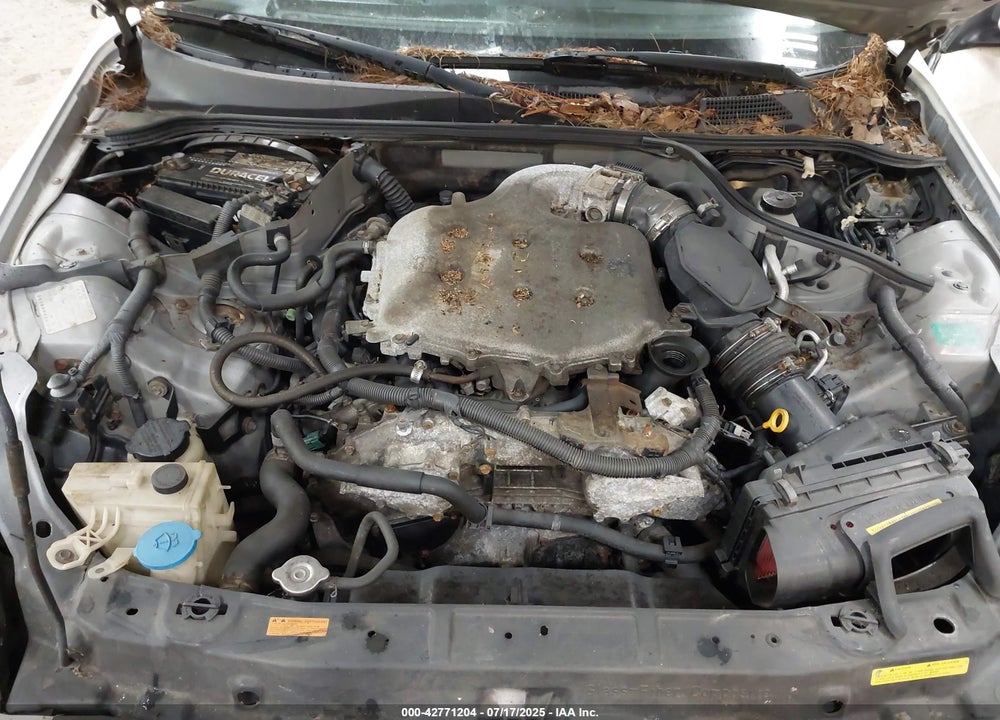 2007 INFINITI G35 VIN: JNKCV54E97M906120