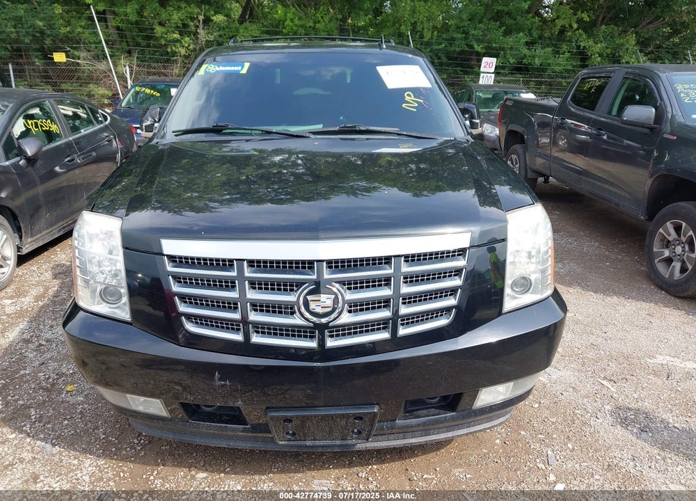 2010 CADILLAC ESCALADE VIN: 1GYUKCEF6AR154018
