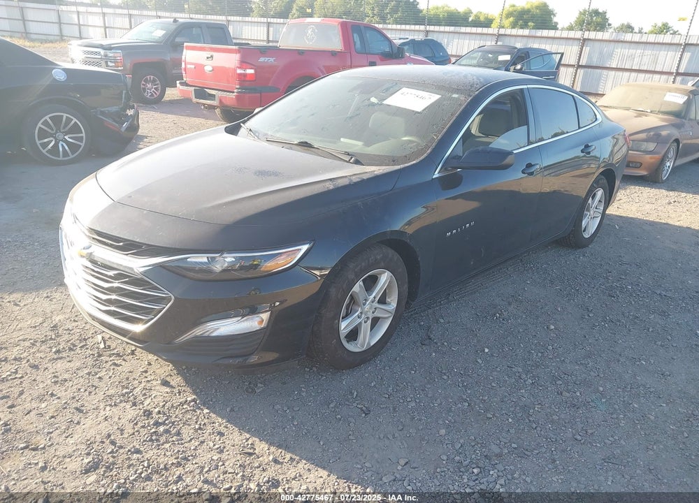 2019 CHEVROLET MALIBU VIN: 1G1ZC5ST3KF211754