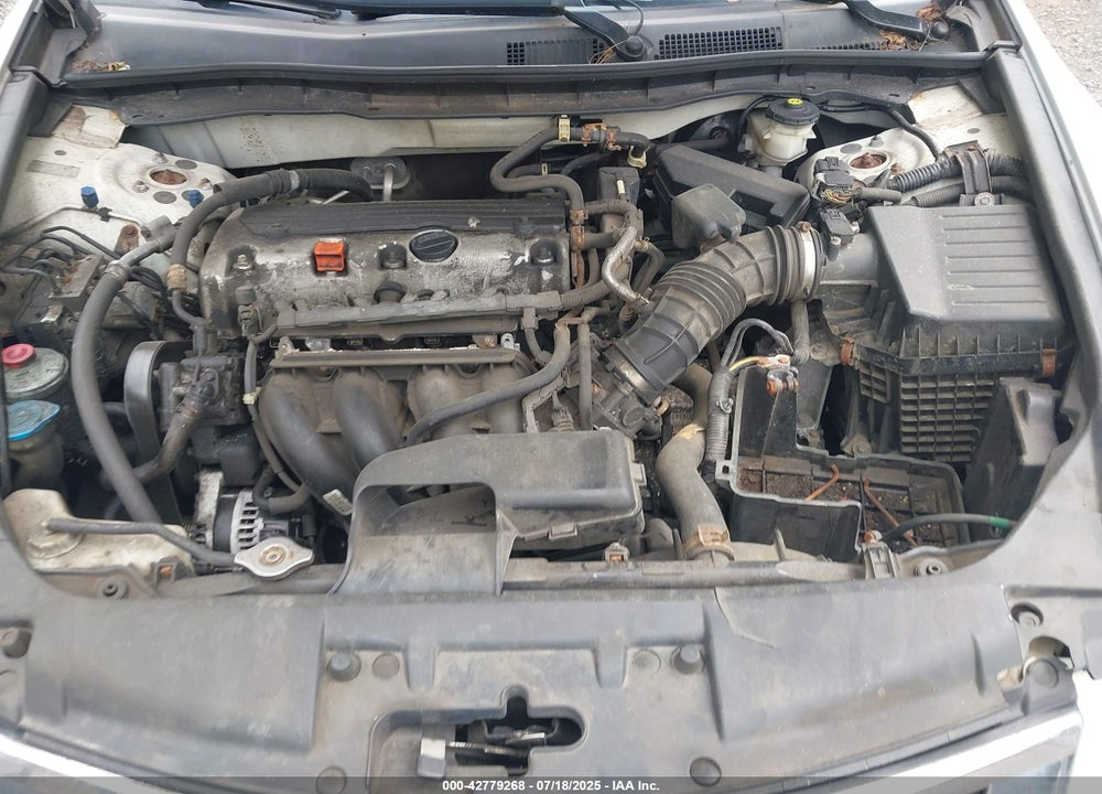2010 HONDA ACCORD VIN: 1HGCP2F3XAA066882
