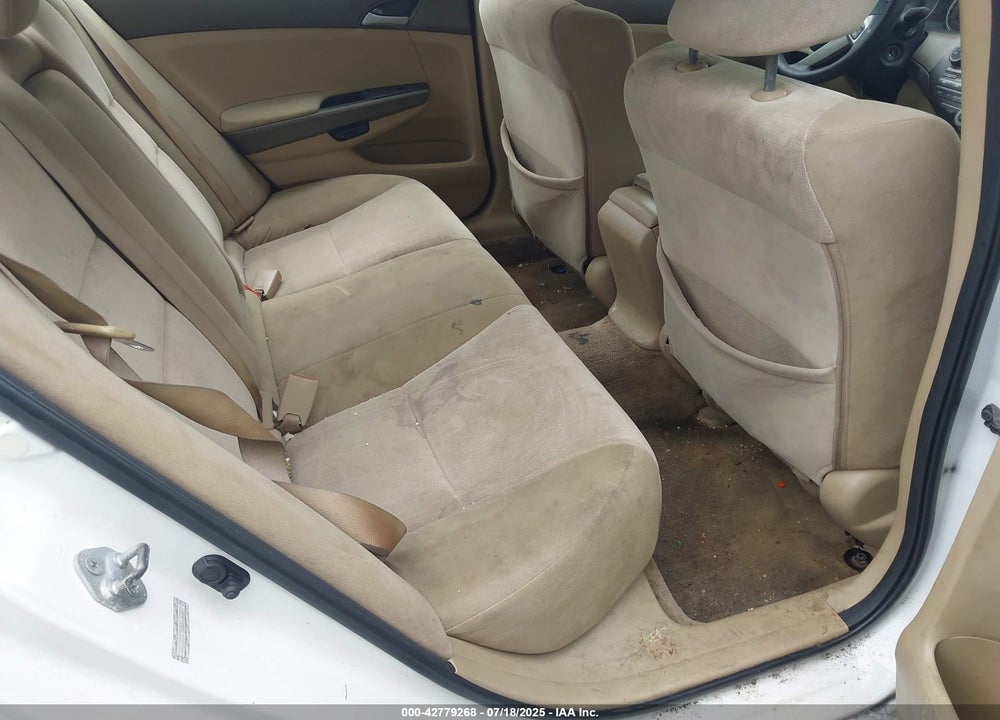 2010 HONDA ACCORD VIN: 1HGCP2F3XAA066882