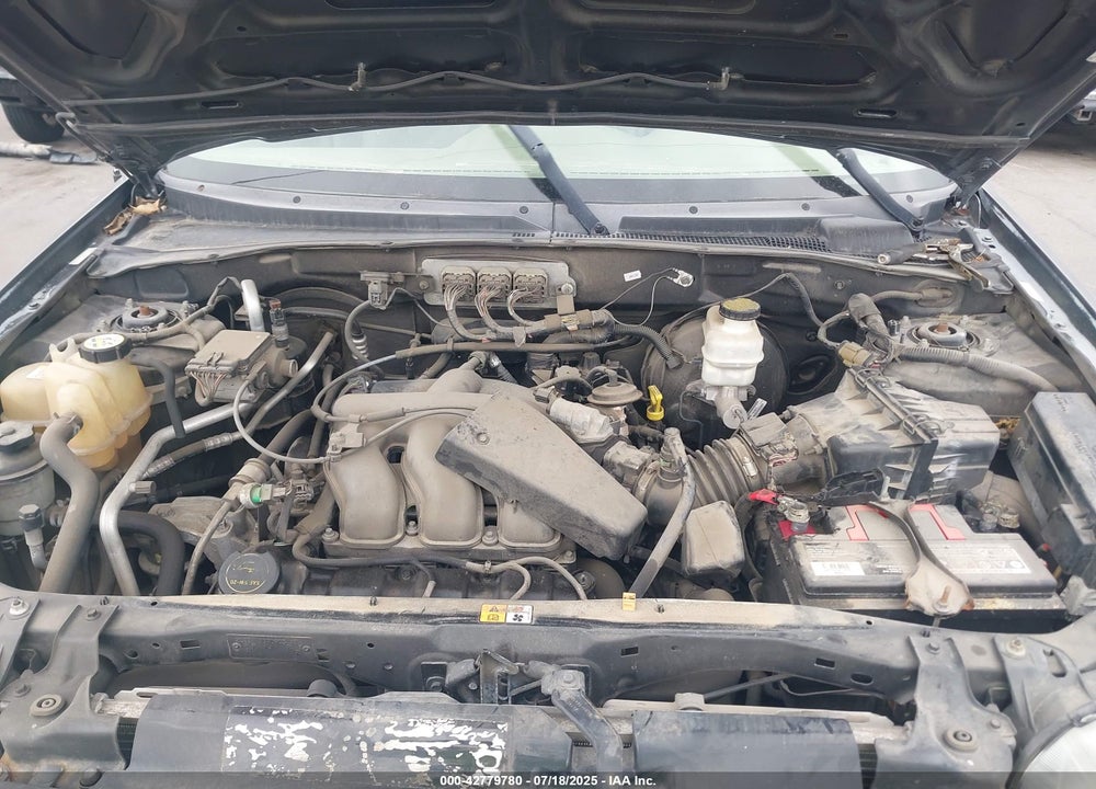 2007 FORD ESCAPE VIN: 1FMYU94177KA49043