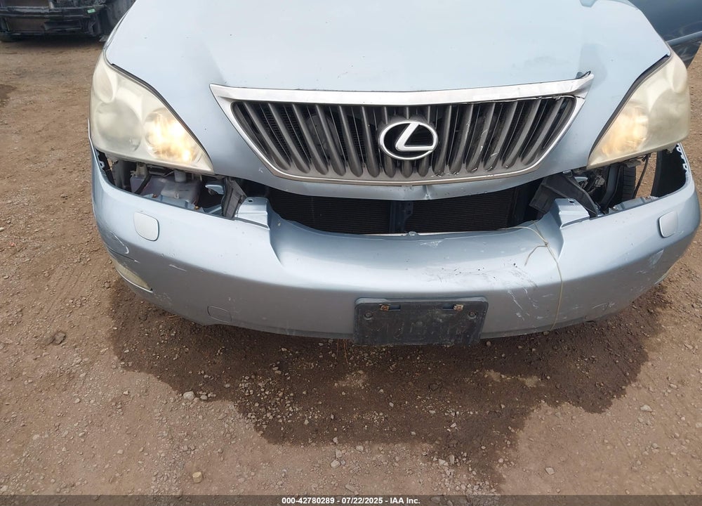 2009 LEXUS RX 350 VIN: 2T2GK31UX9C070955