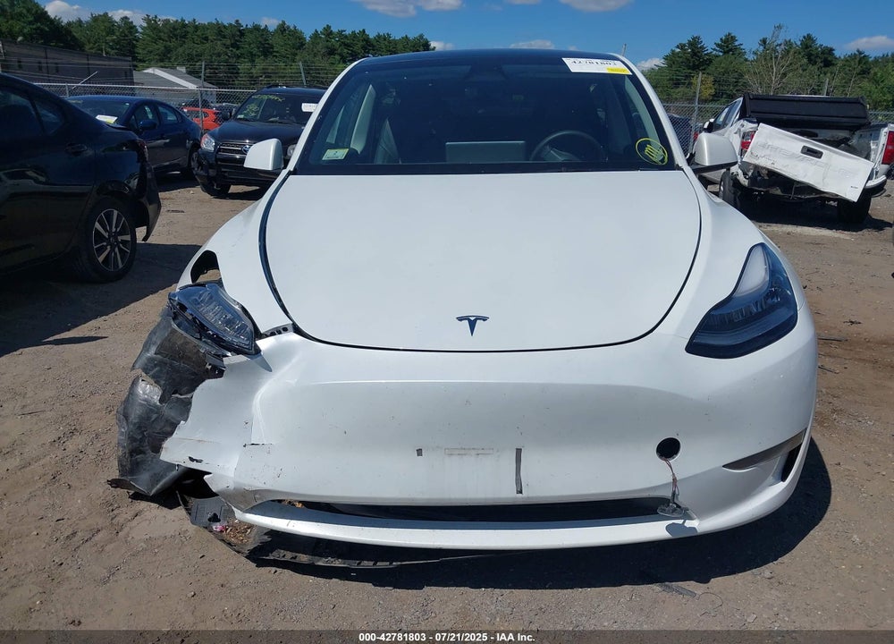 2023 TESLA MODEL Y VIN: 7SAYGDEEXPA103397