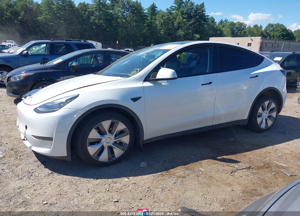 2023 TESLA MODEL Y VIN: 7SAYGDEEXPA103397