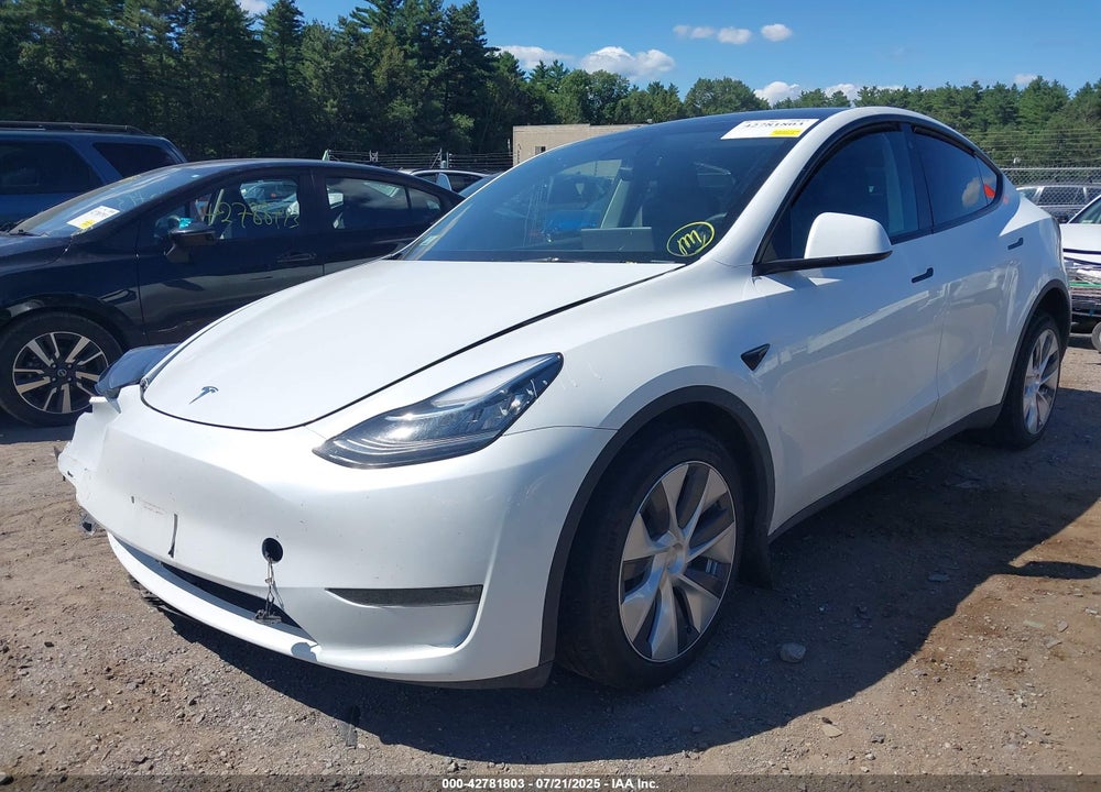 2023 TESLA MODEL Y VIN: 7SAYGDEEXPA103397