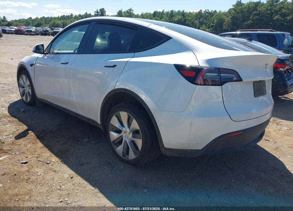 2023 TESLA MODEL Y VIN: 7SAYGDEEXPA103397
