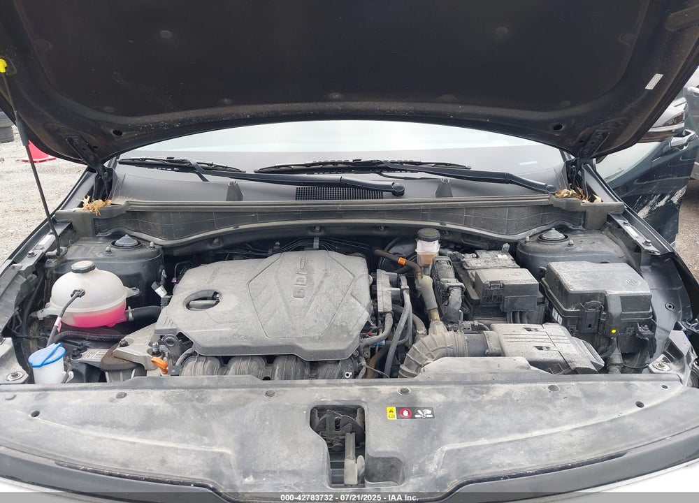 2023 KIA SPORTAGE VIN: 5XYK5CAF3PG064875