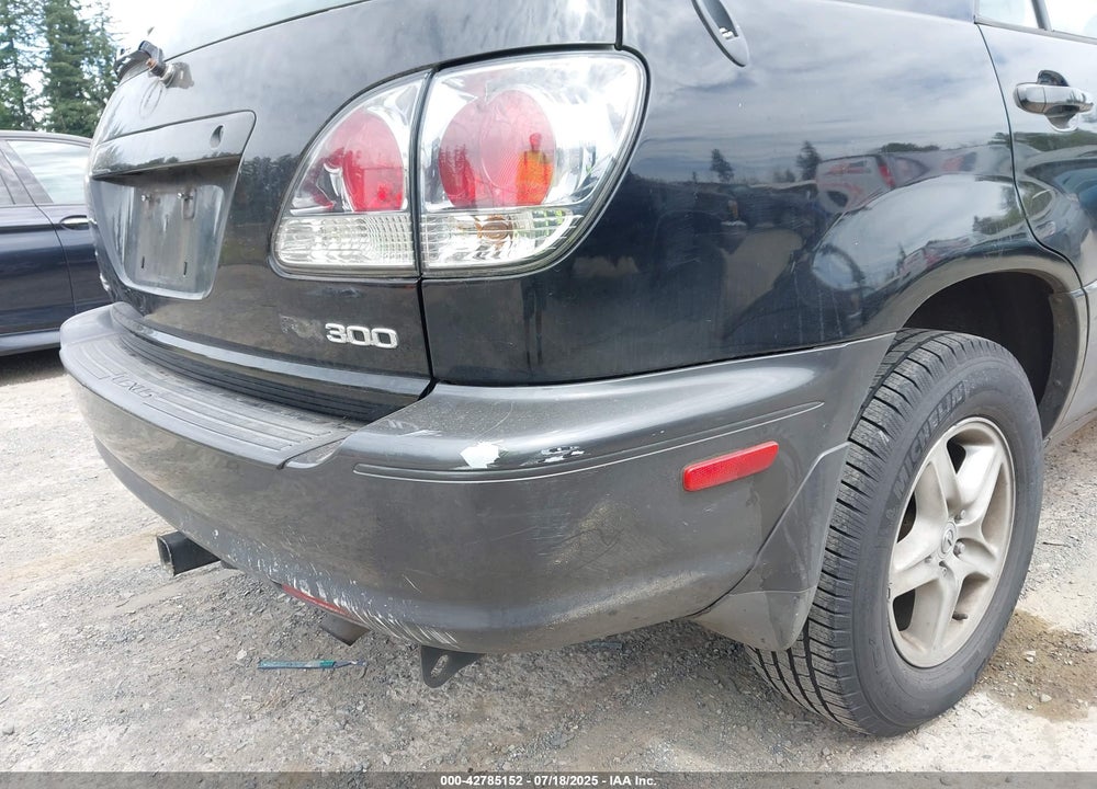 2002 LEXUS RX 300 VIN: JTJHF10U020280982