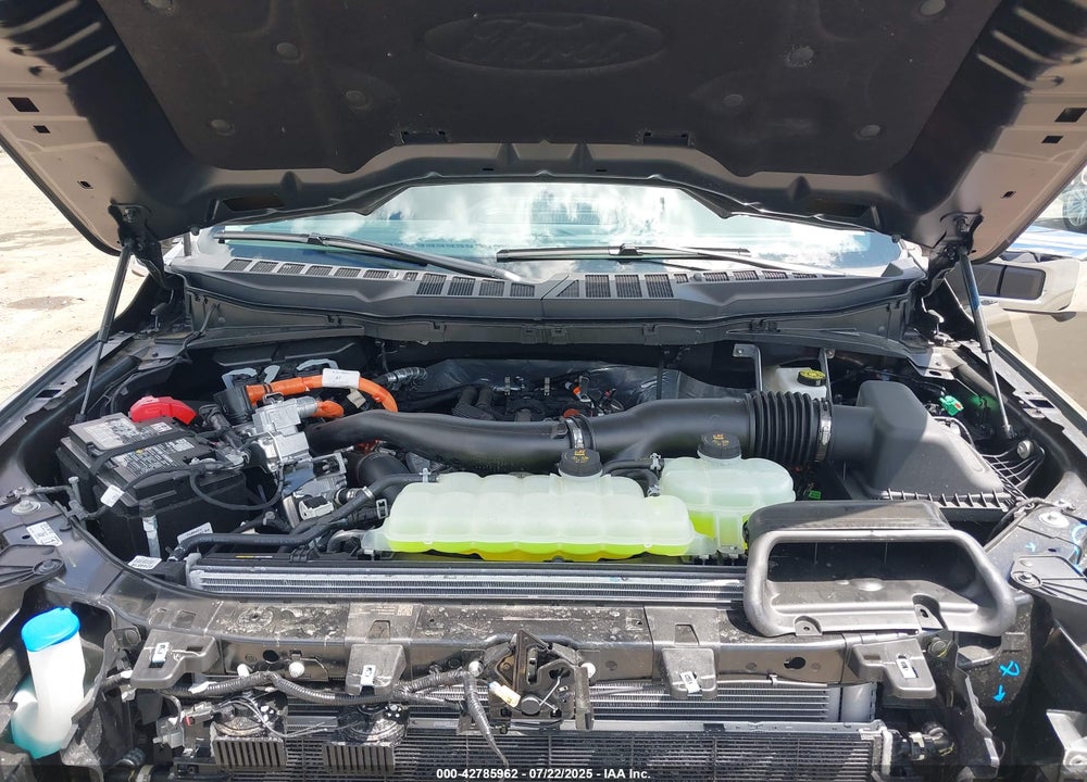 2025 FORD F-150 XLT VIN: 1FTFW3LD9SFA44717