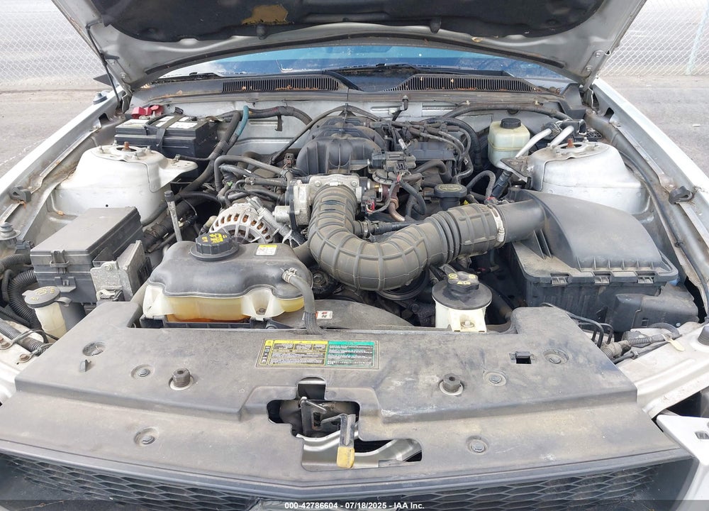 2005 FORD MUSTANG VIN: 1ZVFT84N455252427